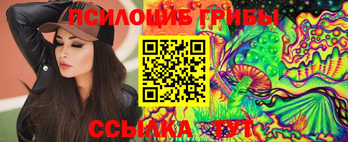 Псилоцибиновые грибы Cubensis Кушва