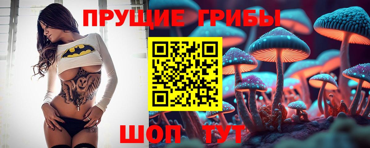 Псилоцибиновые грибы Psilocybine cubensis  Вход с VPN  Кушва 